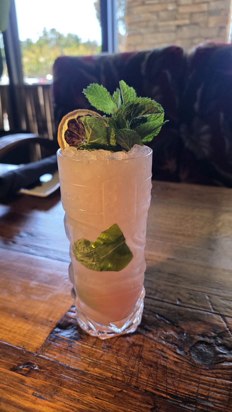 Pink highball with mint and a dehydrated citrus wheel
